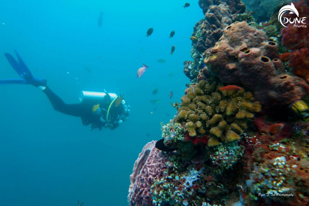 Profiter des beaux paysages sous-marins avec la plongée Tulamben