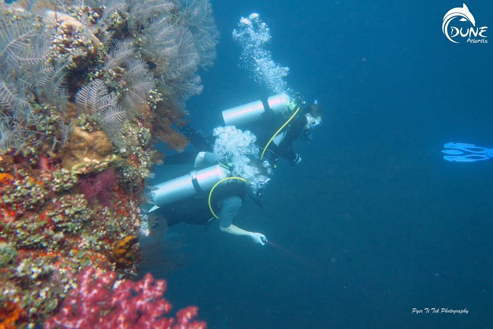 Plongée bali tulamben : les grandes découvertes à réaliser sous l’eau