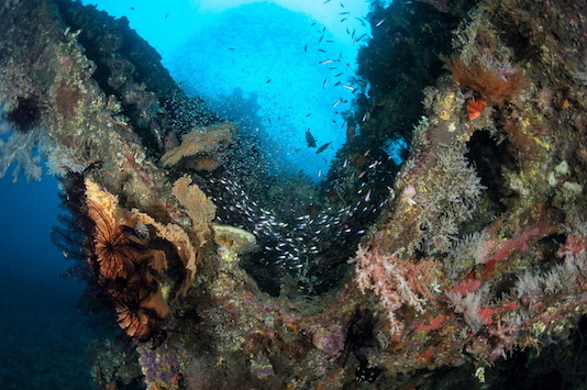 tulamben wreck diving in bali