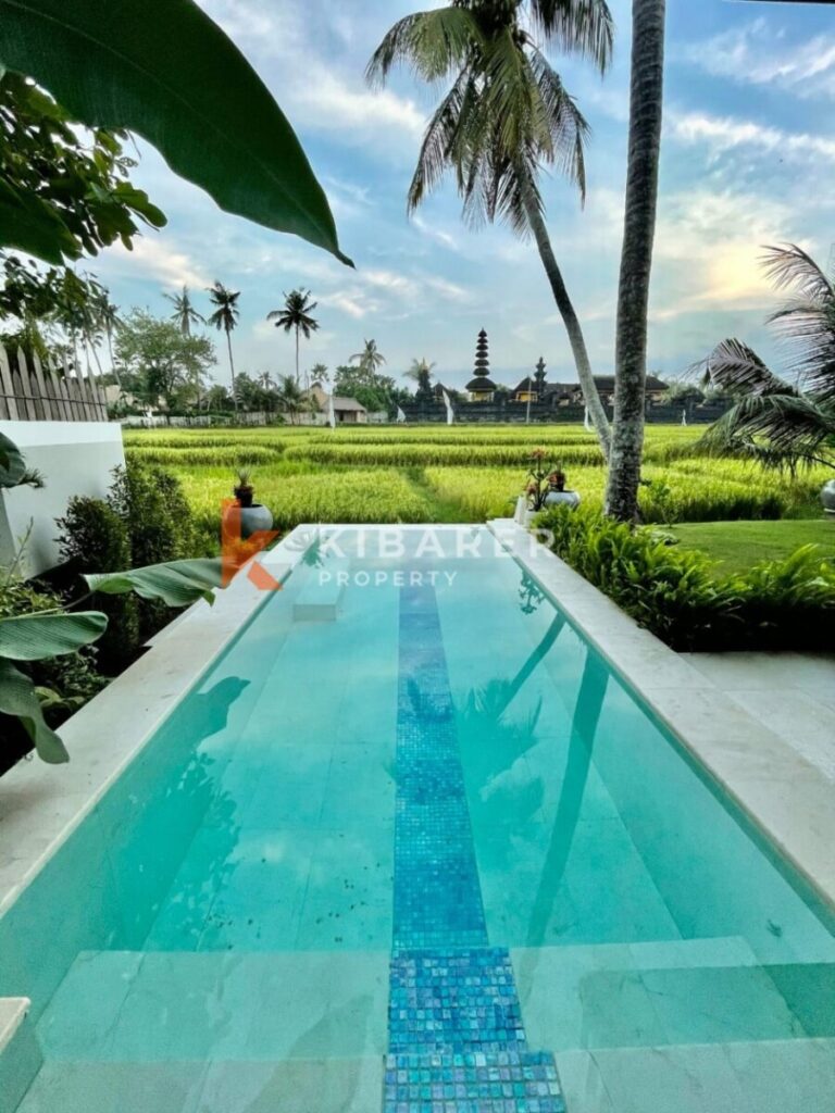 Private villa bali with private pool and rice field view 
